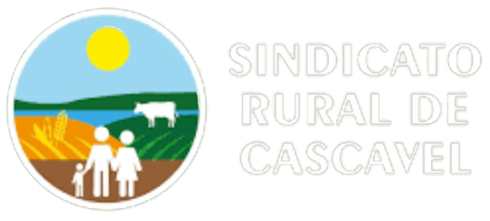 sindicato